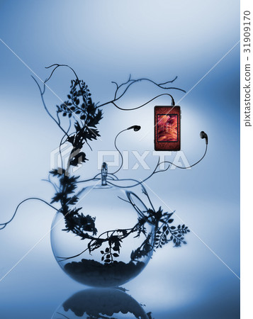 region, phrase, clause 31909170