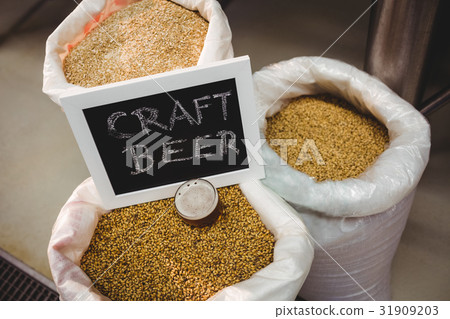 Sign board with various barley in sack at brewery Sign board with various barley in sack at brewery 31909203