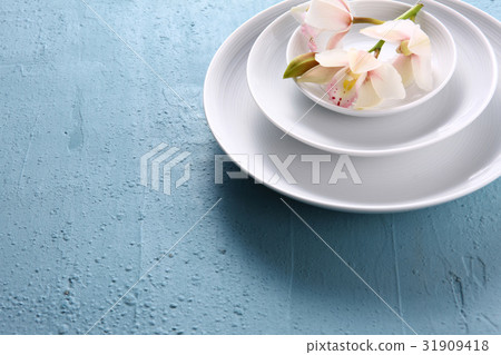 蘭花 31909418