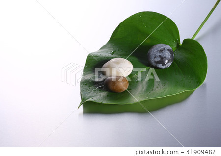 stone, rock, leaf 31909482
