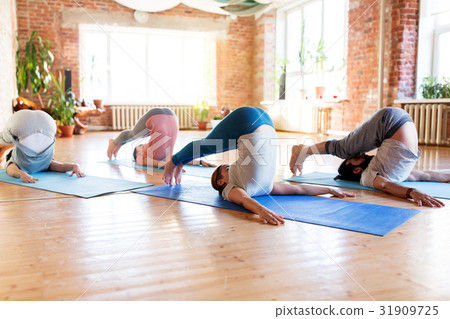 group of people doing plow pose at yoga studio 31909725