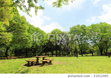 Fresh green of Wada Hori Park 31912465
