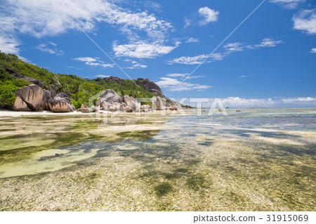 island beach in indian ocean on seychelles 31915069
