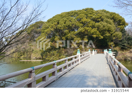 Ch'useiyama Kofun (Tennoji Park / Osaka-shi Tennoji ku Churayama-cho) Ch'useiyama Kofun (Tennoji Park / Osaka-shi Tennoji ku Churayama-cho) 31915544