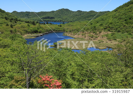 Rikumonbuchi（赤城） 31915987