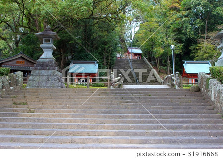 鹿兒島神宮神社入口 鹿兒島神宮神社入口 31916668