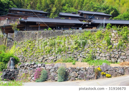 Shiniba Mura Tone River的風景 Shiniba Mura Tone River的風景 31916670