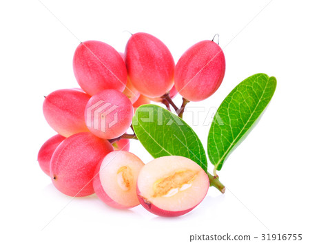 karanda or carunda tropical fruit isolated karanda or carunda tropical fruit isolated 31916755