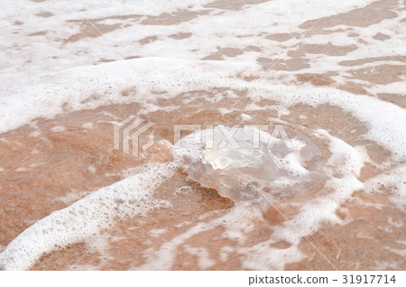 Jellyfish hit wave on beach 31917714