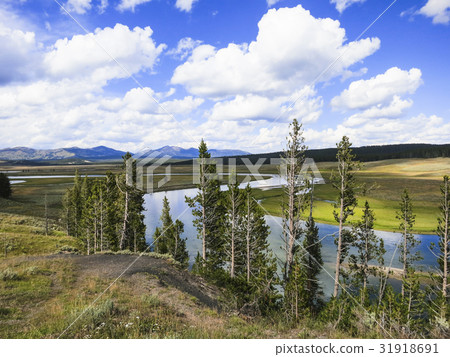 Yellowstone River, Yellowstone National Park, USA Yellowstone River, Yellowstone National Park, USA 31918691