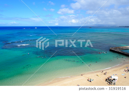 View of Kaimana Beach, Hawaii / Kaimana Beach, Honolulu 31919516