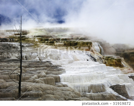 Mammoth Hot Springs, Yellowstone National Park, USA 31919872