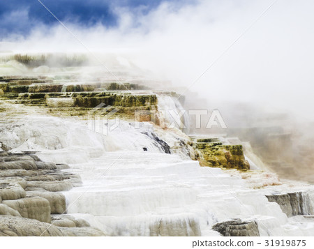 Mammoth Hot Springs, Yellowstone National Park, USA 31919875