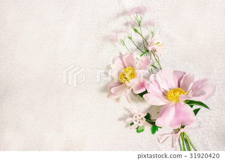 Delicate background of tree-like peony 31920420