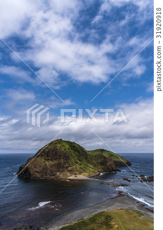 Two-turtle on Sado Island Two-turtle on Sado Island 31920918