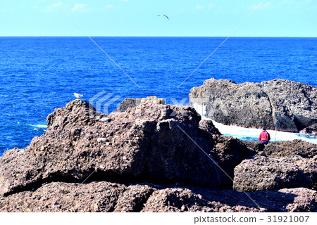 石川縣Tozabou海鳥和垂釣者 31921007