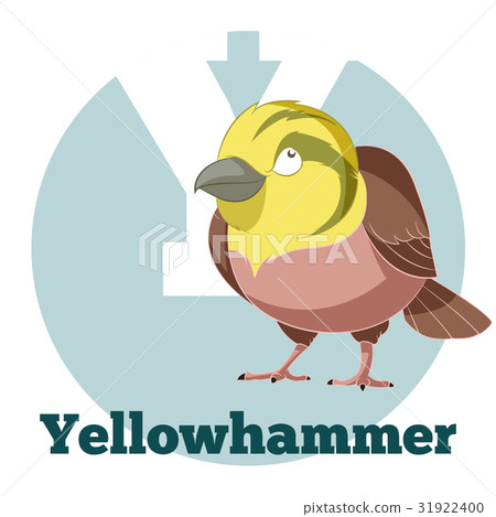ABC Cartoon Yellowhammer 31922400