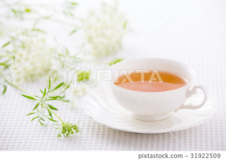  香草茶 31922509