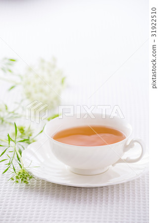  香草茶 31922510