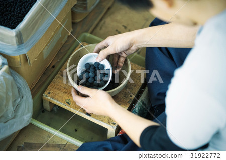 煙花工匠組裝 31922772