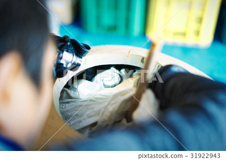 煙花工匠組裝 煙花工匠組裝 31922943