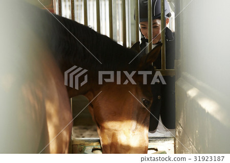 Horse riding club horse and woman Horse riding club horse and woman 31923187