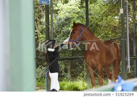 Horse riding club horse and woman 31923204