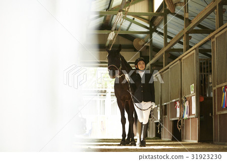 Horse riding club horse and woman Horse riding club horse and woman 31923230