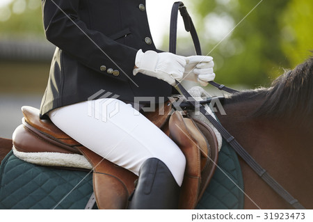 Women riding a horse Women riding a horse 31923473