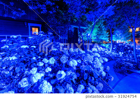 Lodge and hydrangea blue light up Lodge and hydrangea blue light up 31924754