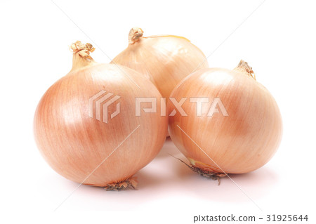 Onions (from Hokkaido) 31925644