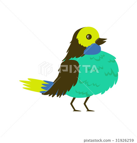 Tropical bird turquoise breasted vector 31926259