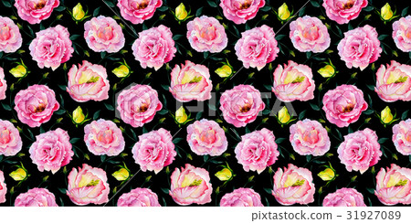Wildflower rose pattern flower in a watercolor Wildflower rose pattern flower in a watercolor 31927089