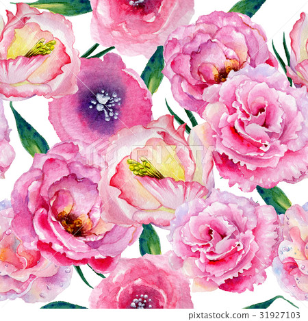 Wildflower rose pattern flower in a watercolor 31927103