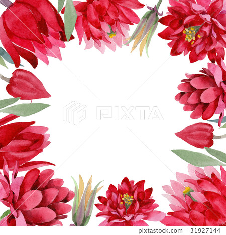 Wildflower Aquilegia flower in a watercolor style Wildflower Aquilegia flower in a watercolor style 31927144
