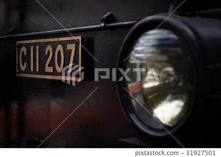 SL big tree (high resolution) 31927501