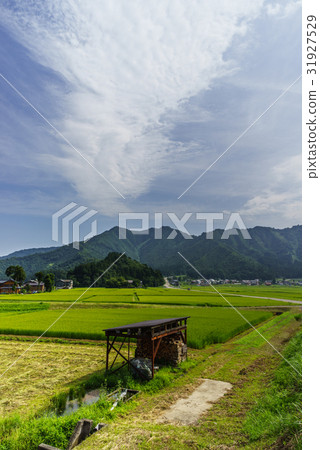Countryside scenery of six-day town in summer 31927529