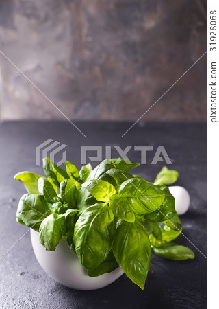 Fresh basil in wooden box 31928068