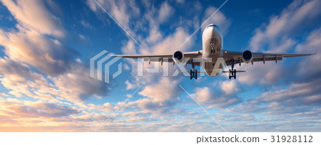 Landscape with white passenger airplane is flying 31928112