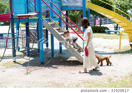 父母和狗在公園裡玩 31928617