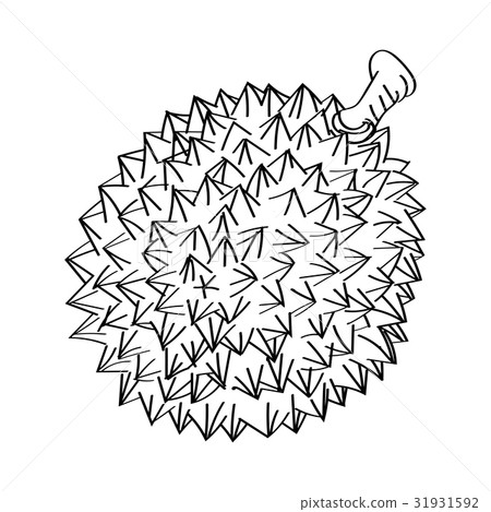 Line Drawing of Durian -Simple line Vector Line Drawing of Durian -Simple line Vector 31931592