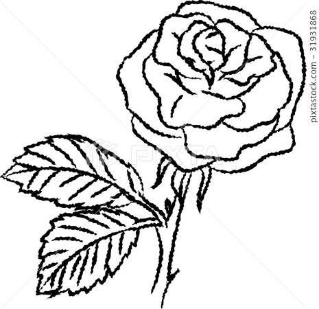 Line Drawing of Rose -Simple line Vector - Stock Illustration [31931868] -  PIXTA