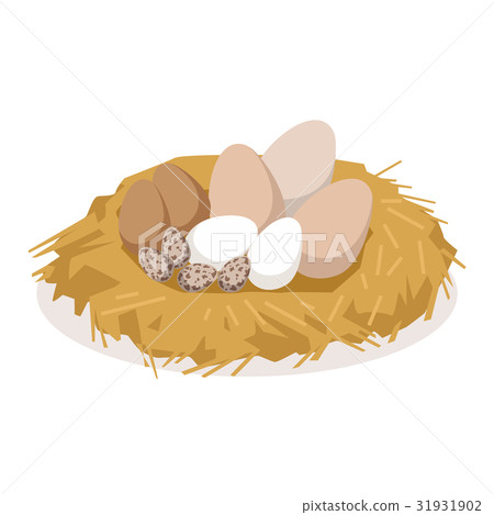 Nest with eggs of different birds, poultry 31931902