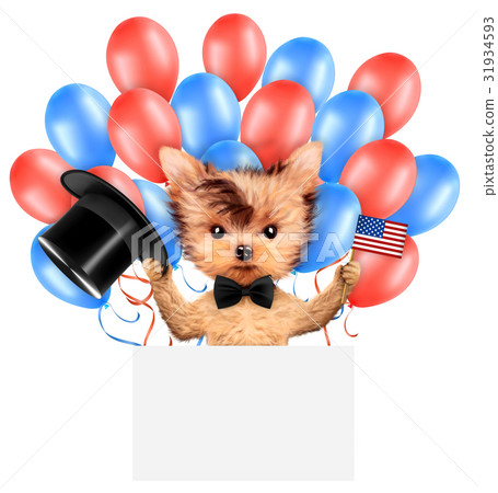 Funny dog holding USA flag. Concept of 4th of July 31934593