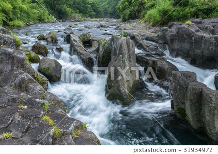 Nakatsu Ryūkawa 31934972