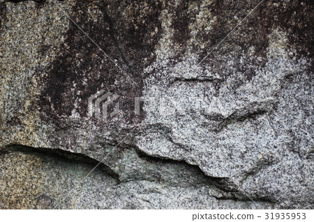 Rough rough skin 31935953