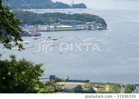 從Koganezan查看 31936339