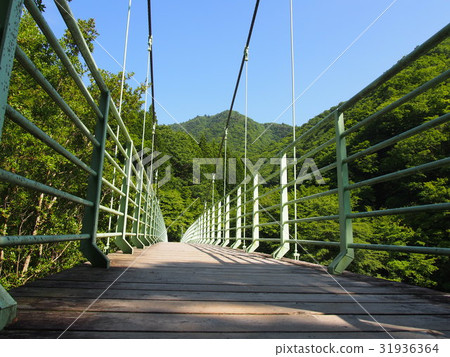 Nishitanzawa Abeagemaru Nishitanzawa Abeagemaru 31936364