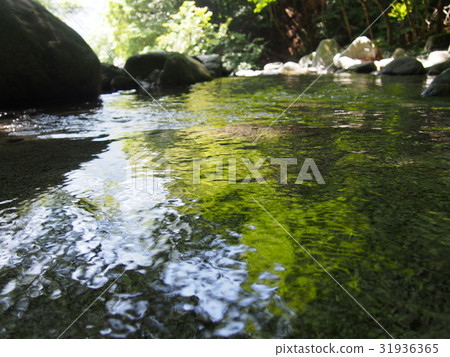 Nishi Tanzawa Akagamaru Nishizawa 31936365