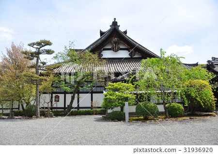 緬甸國家寶藏 31936920